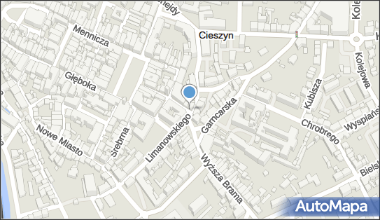 Sylwia Kubala, ul. Leopolda Jana Szersznika 11, Cieszyn 43-400 - Przedsiębiorstwo, Firma, NIP: 5481025251