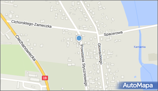 Sylwia Kunicka, Powstania Styczniowego 7B, Siemiatycze 17-300 - Przedsiębiorstwo, Firma, NIP: 5441520731