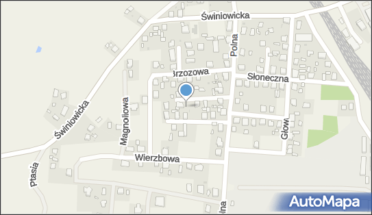 Synapsa Bożena Dramska-Jańczuk, Jodłowa 5, Tworóg 42-690 - Przedsiębiorstwo, Firma, NIP: 6451987827