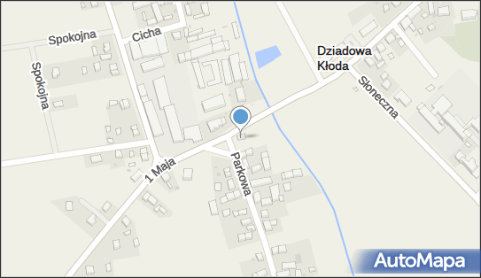 9111726845, Sypniewska Agnieszka Pizzeria Etna 