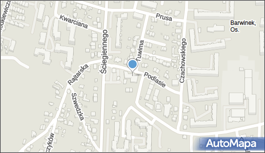 6571024391, Systemy Informacji Wizualnej 