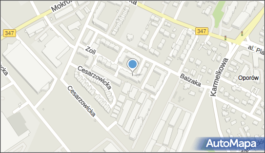 8942845055, Taxi 
