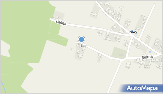 531565521, Szczepan Piechura Usługi Leśne 