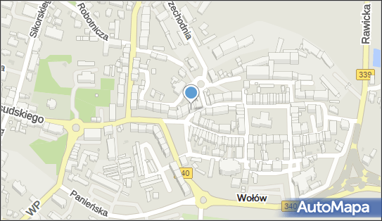 Szewc Mariusz Maxpol, ul. Zwycięstwa 17, Wołów 56-100 - Przedsiębiorstwo, Firma, NIP: 9880195005