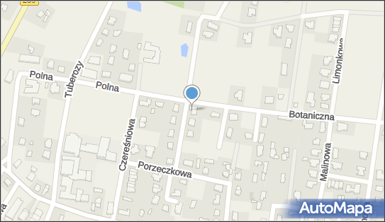 5541440196, Remikal Marian Szewczykowski 