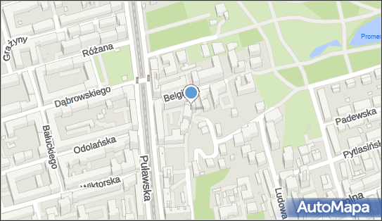 013168838, Szkoła Nauki Jazdy, Piotr Wasiak 