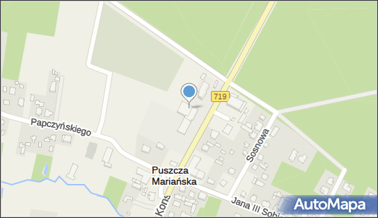 Szkoła Podstawowa im Jana III Sobieskiego w Puszczy Mariańskiej 96-330 - Przedsiębiorstwo, Firma, numer telefonu, NIP: 8381648741