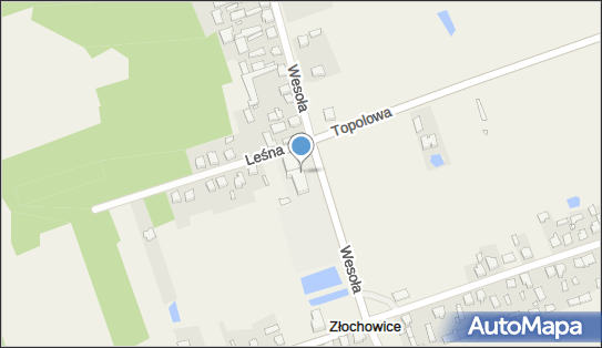 Szkoła Podstawowa im Juliana Tuwima w Złochowicach, ul. Wesoła 3 42-151 - Przedsiębiorstwo, Firma, numer telefonu, NIP: 5741916479