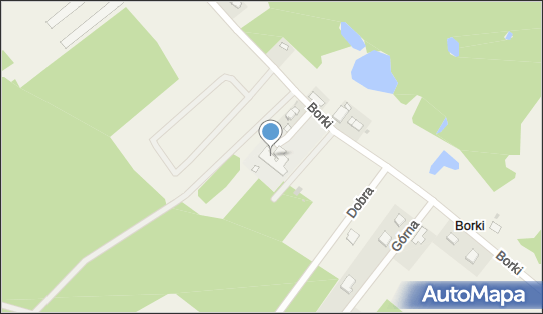 Szkoła Podstawowa im Kornela Makuszyńskiego, Borki 22A, Borki 09-530 - Przedsiębiorstwo, Firma, numer telefonu, NIP: 7743039150