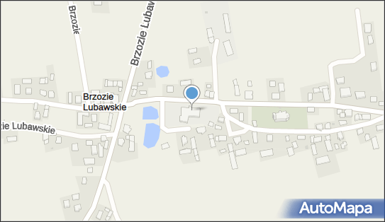 Szkoła Podstawowa im Orła Białego w Brzoziu Lubawskim 13-306 - Przedsiębiorstwo, Firma, numer telefonu, NIP: 8771457078