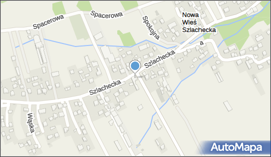 9442158228, Szkoła Podstawowa im.św.Stanisława Kostki w Nowej Wsi Szlacheckiej 