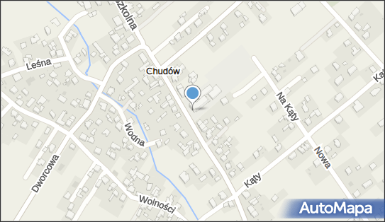 9691294605, Szkoła Podstawowa im.Witolda Budryka w Chudowie 