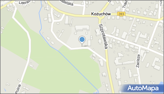 9251816620, Publiczna Szkoła Podstawowa nr 1 im.Bolesława Krzywoustego w Kożuchowie 