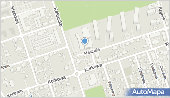 9521827250, Szkoła Podstawowa nr 195 im.Króla Maciusia I 