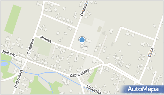 6422679164, Szkoła Podstawowa nr 8 im.Romana i Zdzisława Pietrasów 