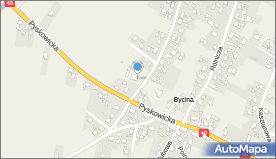 9691284185, Szkoła Podstawowa w Bycinie 