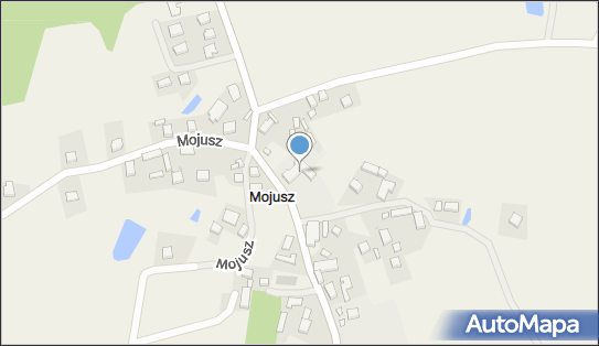 5891875813, Szkoła Podstawowa w Mojuszu 
