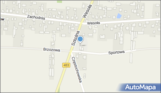 Szkoła Podstawowa w Radostkowie, Szkolna 1, Radostków-Kolonia 42-233 - Przedsiębiorstwo, Firma, numer telefonu, NIP: 5732479683