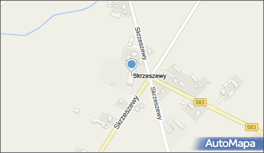 Szkoła Podstawowa w Skrzeszewach, Skrzeszewy 21, Skrzeszewy 09-541 - Przedsiębiorstwo, Firma, numer telefonu, NIP: 9710645886