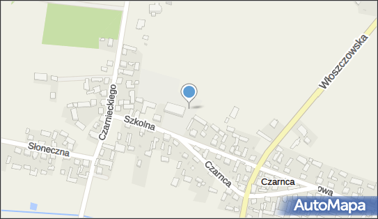 Szkoła Podstawowa, Szkolna 16a, Czarnca 29-100 - Przedsiębiorstwo, Firma, NIP: 6090047237