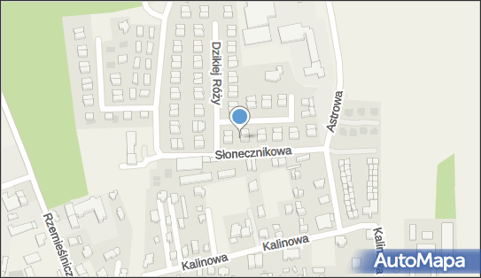 5871618289, Szkoła Sportów Wodnych Surfstacja Konrad Nowak 