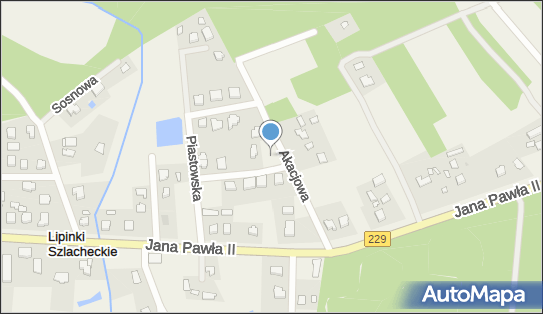 5920005116, Szkółka Drzew i Krzewów 