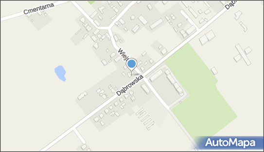 Szkółka Drzew i Krzewów Ozdobnych Andre Poniatowski, Karczów 49-120 - Przedsiębiorstwo, Firma, NIP: 9910234751