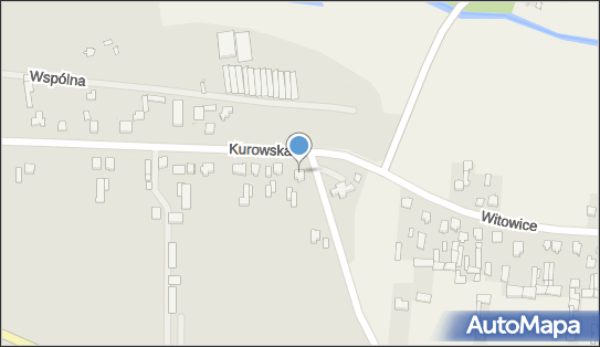 Szkółka Drzew i Krzewów Tomasz Ciupa, ul. Kurowska 136 24-130 - Przedsiębiorstwo, Firma, numer telefonu, NIP: 7162270963