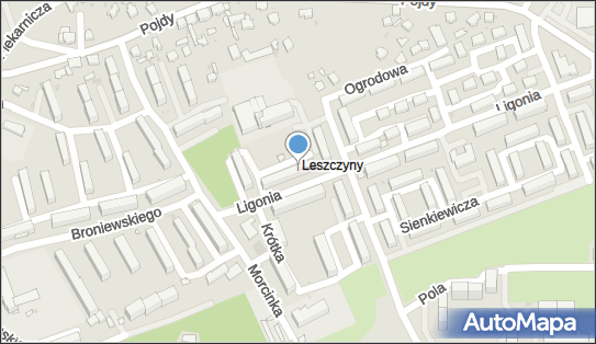 Szlachta Góralska, Ligonia 14a, Czerwionka-Leszczyny 44-238 - Przedsiębiorstwo, Firma, NIP: 6421956673