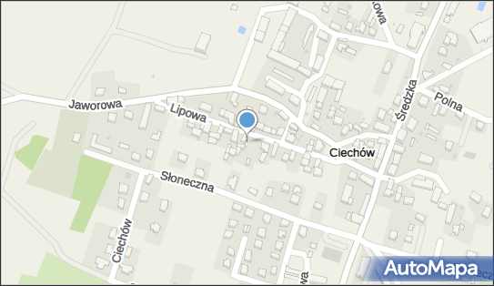 Szpak P., Ciechów, Lipowa 13, Ciechów 55-300 - Przedsiębiorstwo, Firma, NIP: 9131440201