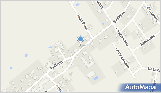 Szustkiewicz Usługi Sprzętem Budowlanym, Steffena Wiktora 13 11-036 - Przedsiębiorstwo, Firma, numer telefonu