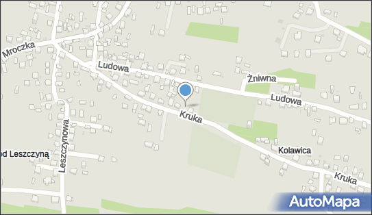 6321500991, Szymiec Józefa P.P.H.U.