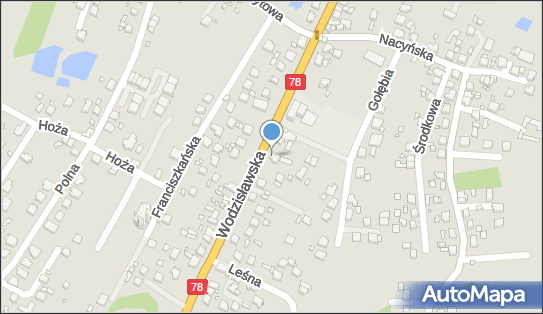 T O P, ul. Wodzisławska 129, Rybnik 44-218 - Przedsiębiorstwo, Firma, NIP: 6472090798