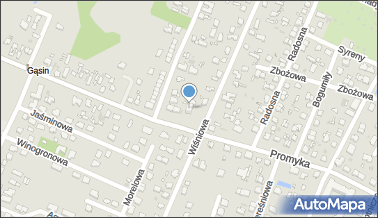 015620320, Tacho-Diagram Paweł Cieślak 