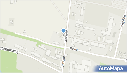 Tacho-Legal Ilona Jachmann, Wiśniowa 1, Pniewy 62-045 - Przedsiębiorstwo, Firma, NIP: 7881869870