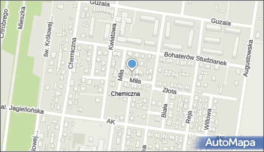 Tadeusz Cichocki - Pracownia Obuwia, Miła 12, Pionki 26-670 - Przedsiębiorstwo, Firma, NIP: 8121001385