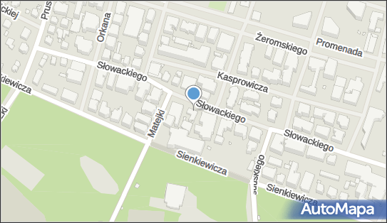 Tais Pomierczyk Ryszard i Jerzy, Słowackiego Juliusza 25 72-600 - Przedsiębiorstwo, Firma, NIP: 8550024346