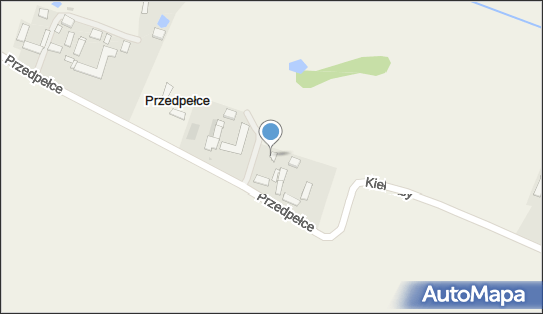 Taksóka Osobowa nr Boczny 542, Przedpełce 8, Przedpełce 09-440 - Przedsiębiorstwo, Firma, NIP: 7741447821