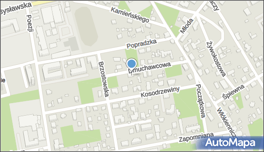 9521094379, Taksówka Bagażowa, Kryński Waldemar 