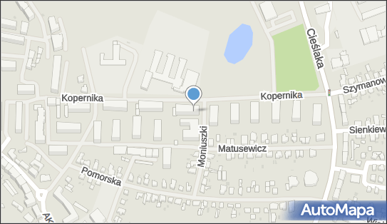 6731024343, Taksówka Osobowa nr 101 Janusz Malczewski 