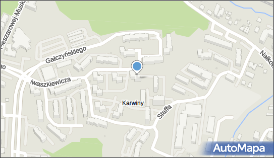 5861055318, Taksówka Osobowa nr 1038 Wiesław Olchawa 