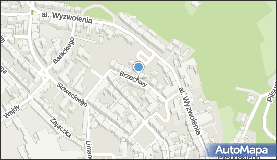 8861078870, Taksówka Osobowa nr 1046 Leopold Głowacki 