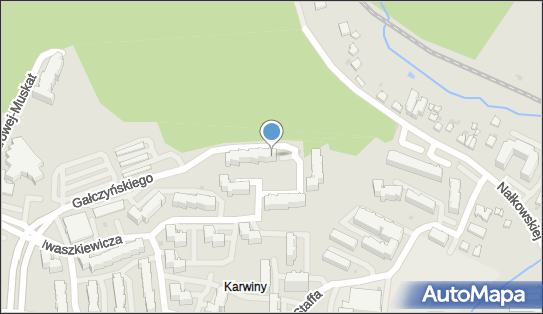 5861007940, Janusz Biały, Taksówka Osobowa nr 1325 