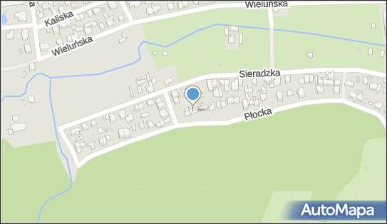 5861066032, Taksowka Osobowa nr 156 Zalewski Bogdan 