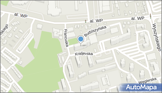 9291054949, Taksówka Osobowa nr 217 Budziński Edward 