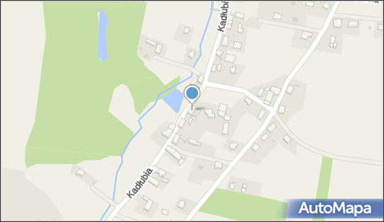 9281050915, Taksówka Osobowa nr 21 Stasiak Zbigniew 