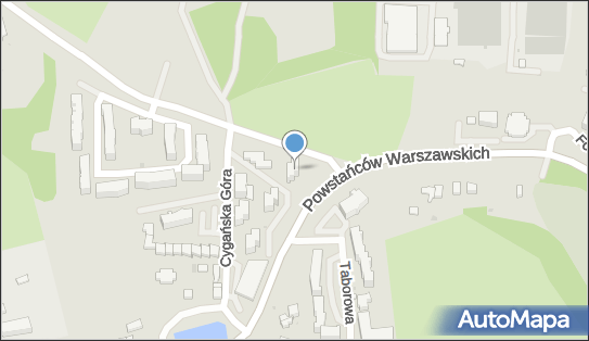 9570310877, Taksówka Osobowa nr 3202 Zwęgeła Artur 