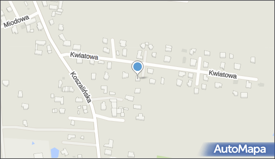 6691121748, Taksówka Osobowa nr 431 Mirosław Sapieha 