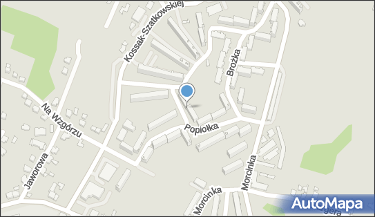 Taksówka Osobowa nr 61, ul. Franciszka Popiołka 7, Cieszyn 43-400 - Przedsiębiorstwo, Firma, NIP: 5481313085