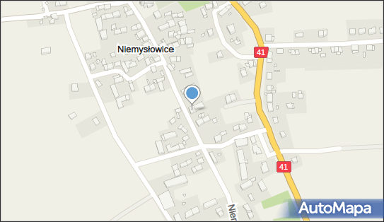 Taksówka Osobowa nr 8035, Niemysłowice 110, Niemysłowice 48-200 - Przedsiębiorstwo, Firma, NIP: 7551012333